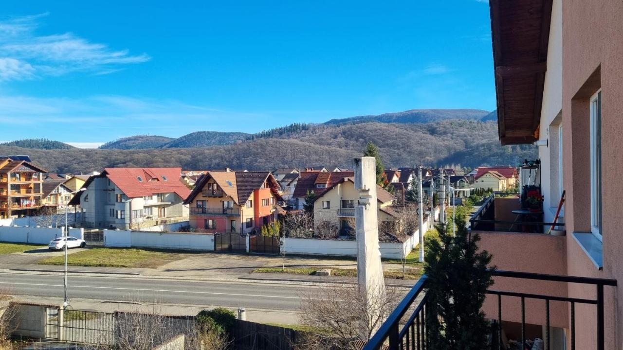 Rasnov Loft Lägenhet Exteriör bild