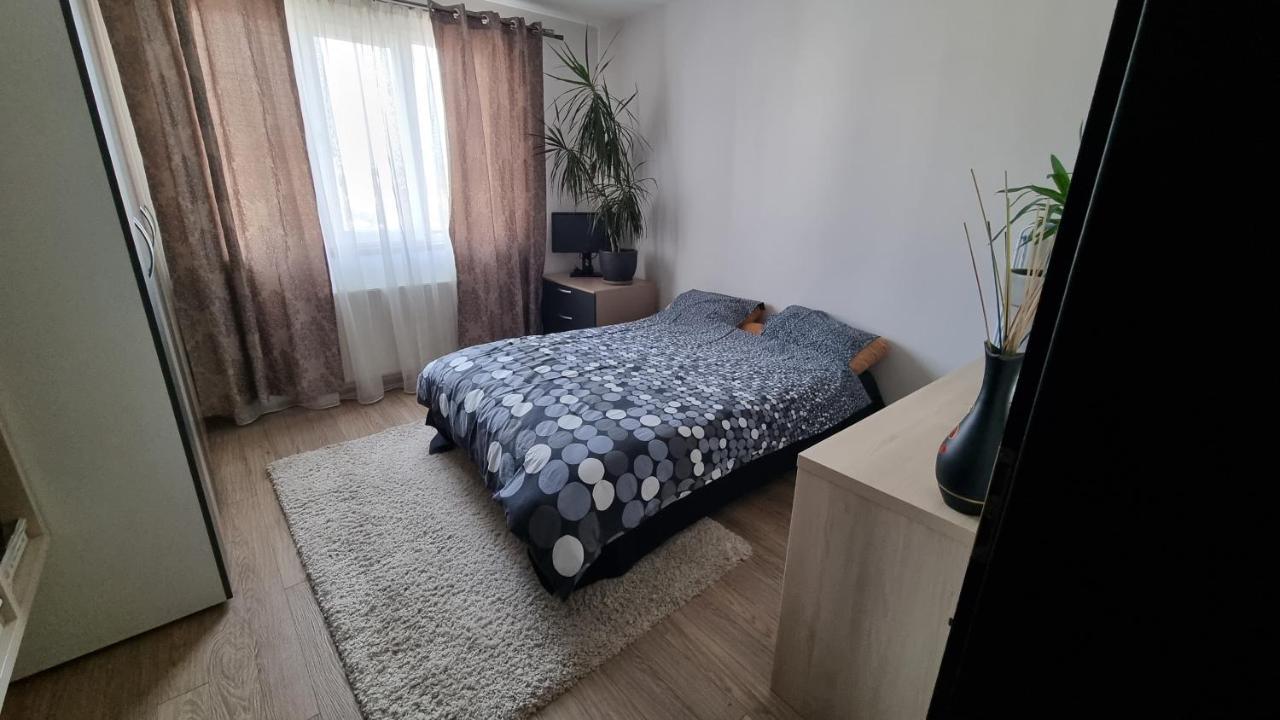 Rasnov Loft Lägenhet Exteriör bild